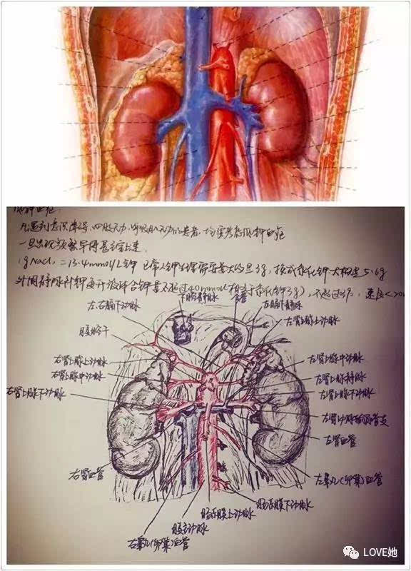 威尼斯wns8885566